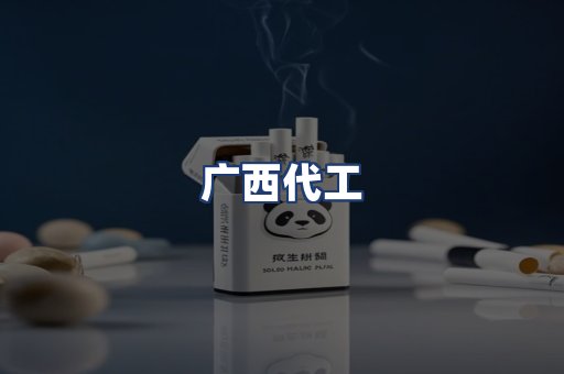 广西代工
